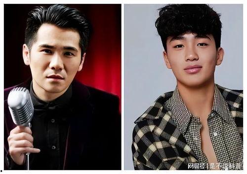 明星能有孩子吗男孩,明星家庭中的男孩成长故事