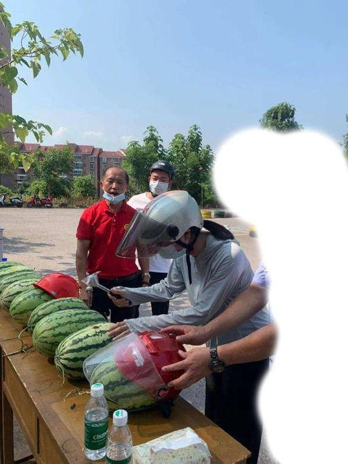 吃瓜事件桑植,揭秘背后真相与网络舆论风暴