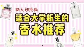 网红男柏林,从网红到现象，揭秘他的魅力与影响力