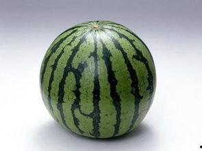 吃螺纹瓜会胖吗,吃螺纹瓜真的会让人发胖吗？营养专家揭秘