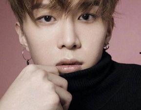 hlf明星,揭秘明星背后的故事与辉煌成就