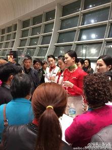 韩国空姐电影在线观看