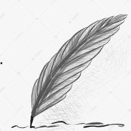 笔毛启明星,笔毛启明星的艺术之旅