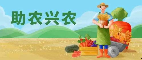 带你吃瓜王叔叔,带你领略“吃瓜王叔叔”的独特魅力