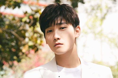 爆料娱乐圈邢昭林,揭秘明星背后的故事