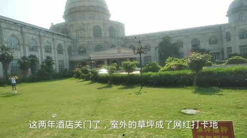 郑州西郊网红饭馆排名,舌尖上的美食地图