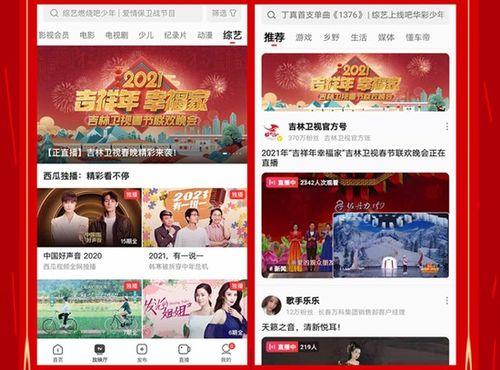 学生看的西瓜头条视频,揭秘校园热点，带你走进青春风采