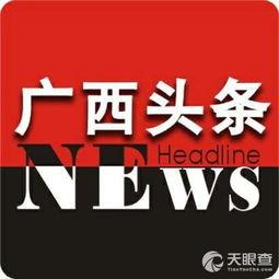 中国头条新闻社,聚焦时代脉搏，传递中国声音