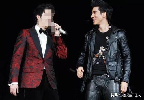 吃瓜娱乐圈 王力宏,娱乐圈的瓜田,他的故事与争议