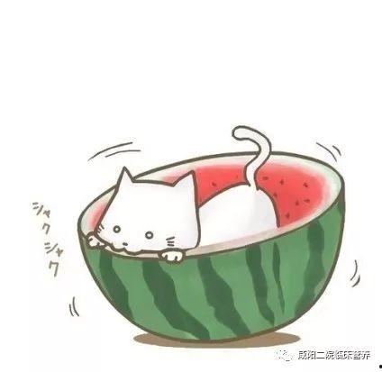 吃瓜群众图片头像,揭秘吃瓜群众头像背后的故事